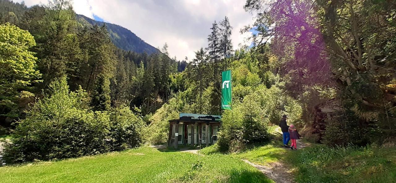 Haus Weyerbach Apartments ブラームベルク・アム・ヴィルトコーゲル エクステリア 写真